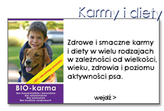 Karmy dla psów