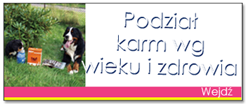 Podział produktów według wieku psa.